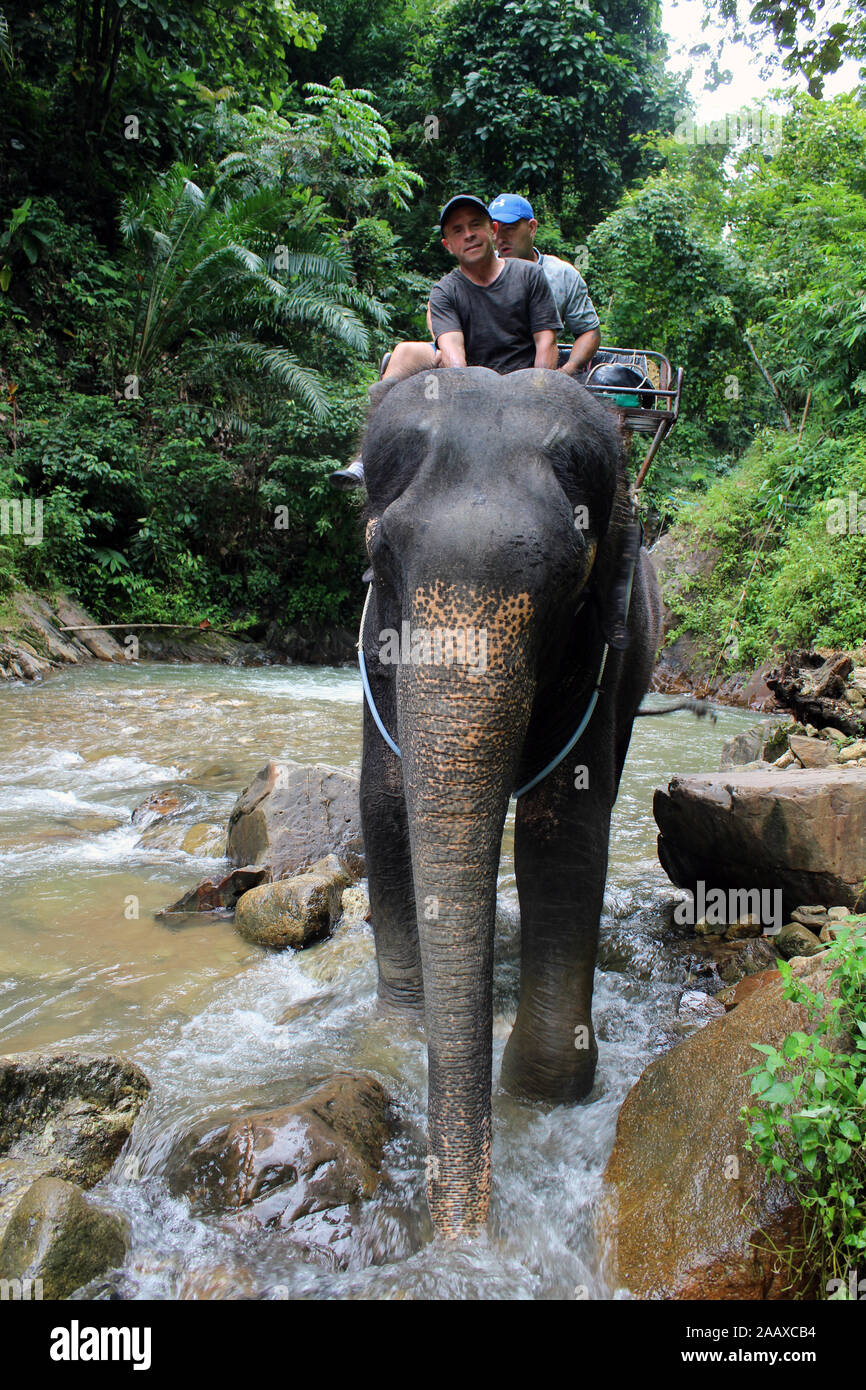 Paseo en elefante en el Parque Nacional de la bahía de Phang Nga Thailand Foto de stock