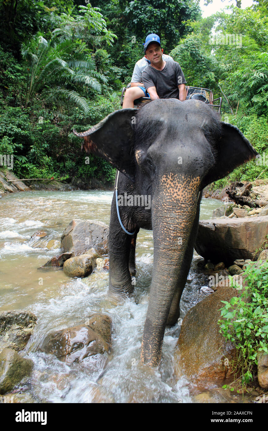 Paseo en elefante en el Parque Nacional de la bahía de Phang Nga Thailand Foto de stock