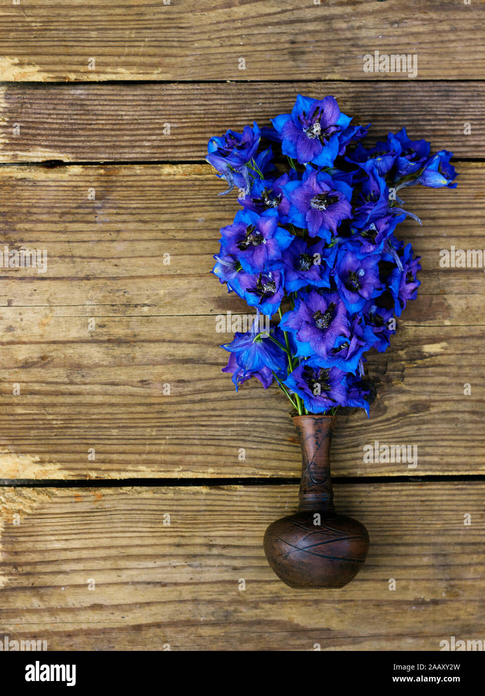 Bouquet muy brillantes y coloridas flores delphinium azul en una pequeña  vasija de barro en el rústico de madera desgastada raído, de fondo plano,  vista superior laicos, clo Fotografía de stock -
