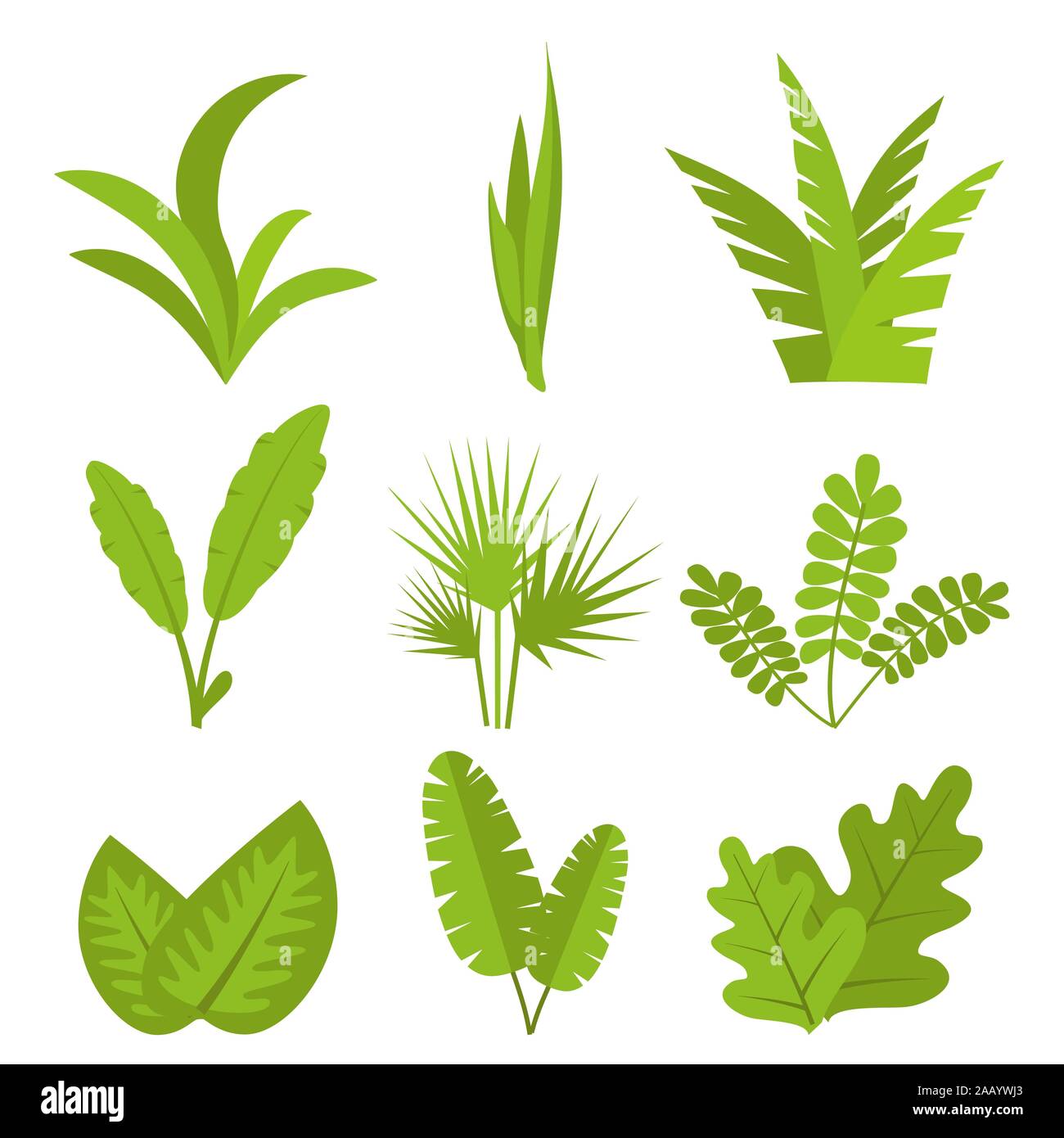 Las plantas, hojas, ramas, arbustos y macetas plana ilustración vectorial Ilustración del Vector