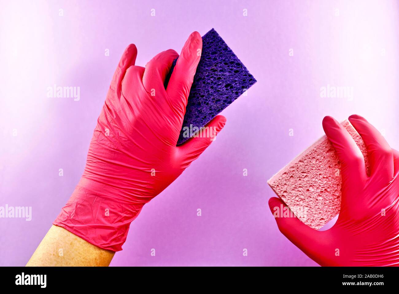 Dos esponjas de lavado de celulosa natural, paralelos entre sí, en las manos con guantes de goma. Foto de stock