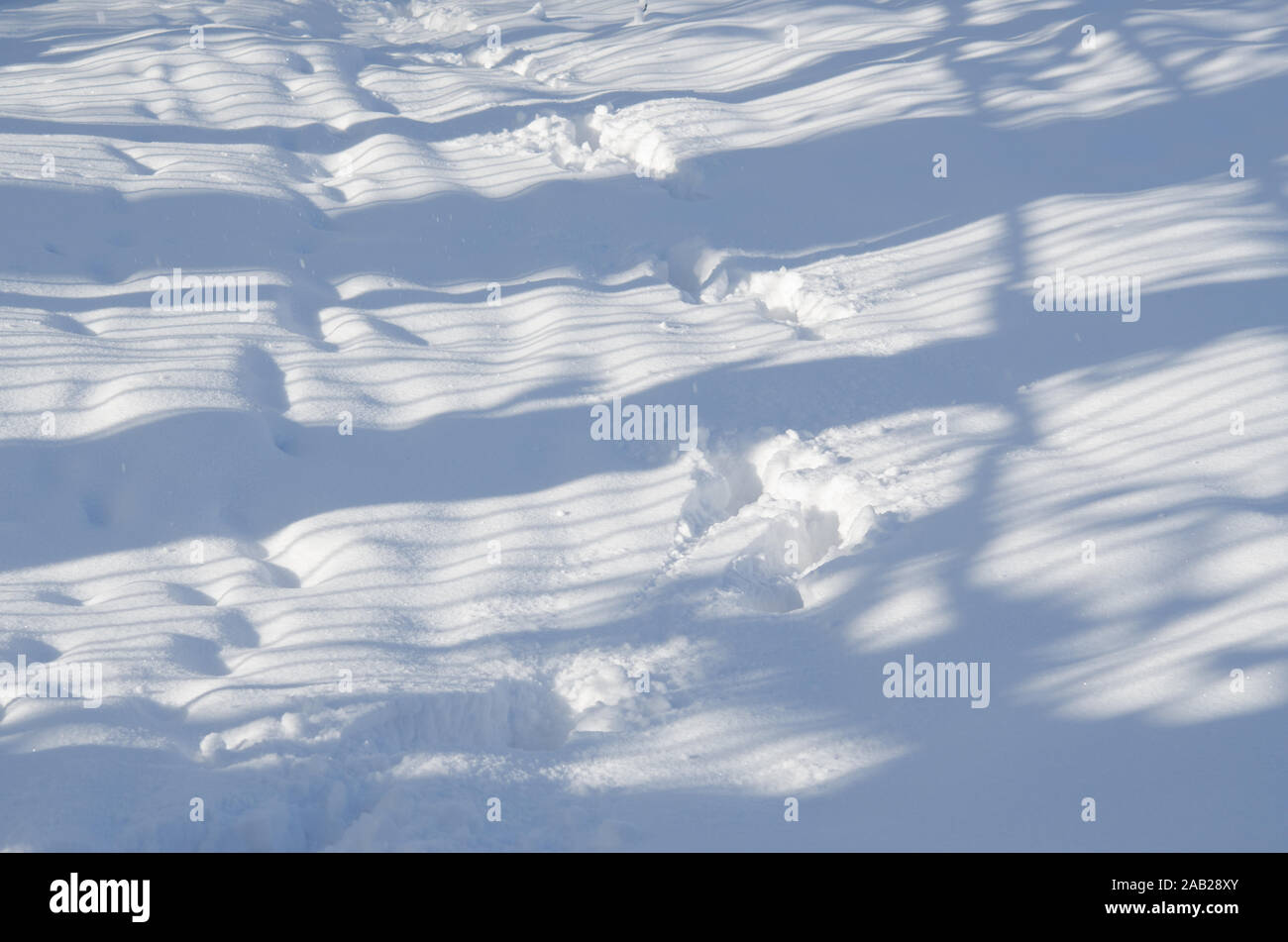 Las trazas y las sombras sobre el ventisquero. Resumen del paisaje invernal. Foto de stock