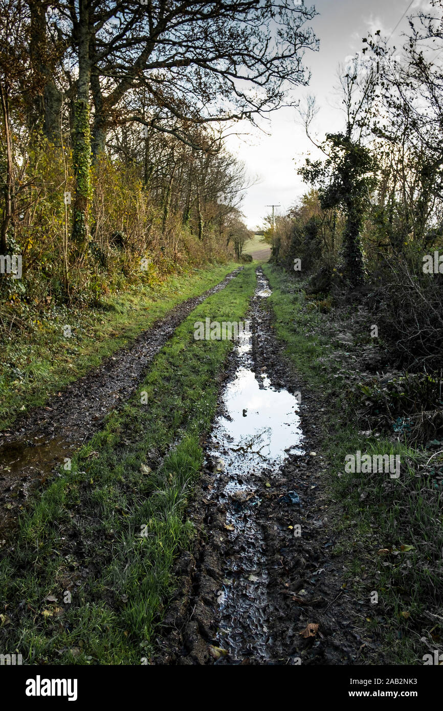 Un derecho de vía pública fangoso sendero en la campiña de Cornualles. Foto de stock