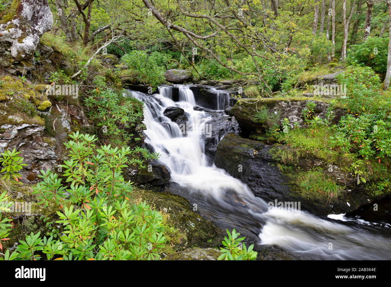 Schottland, Wasserfall, Inversnaid, Foto de stock