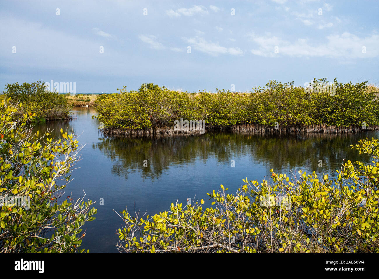 Merritt Island National Wildlife Refuge, Florida Foto de stock