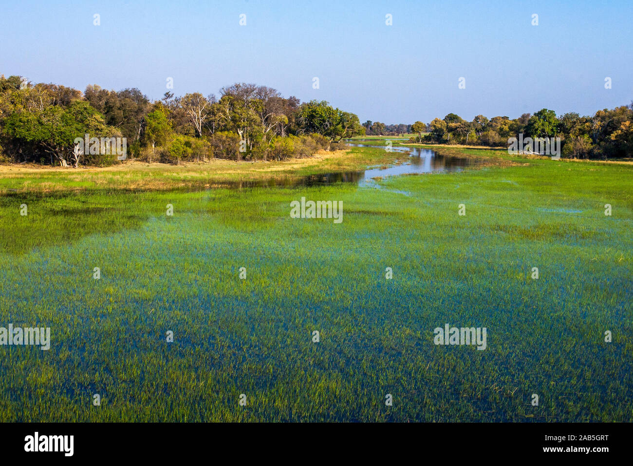Okawango-Delta, Botswana Foto de stock
