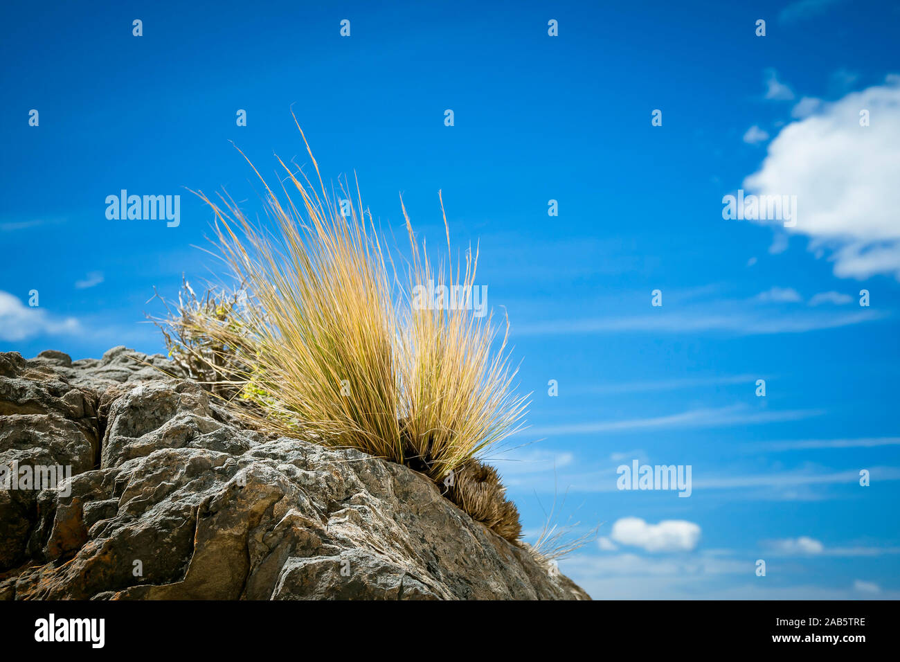 Ein Stein blauem vor der Himmel, bewachsen mit Gras ist Foto de stock