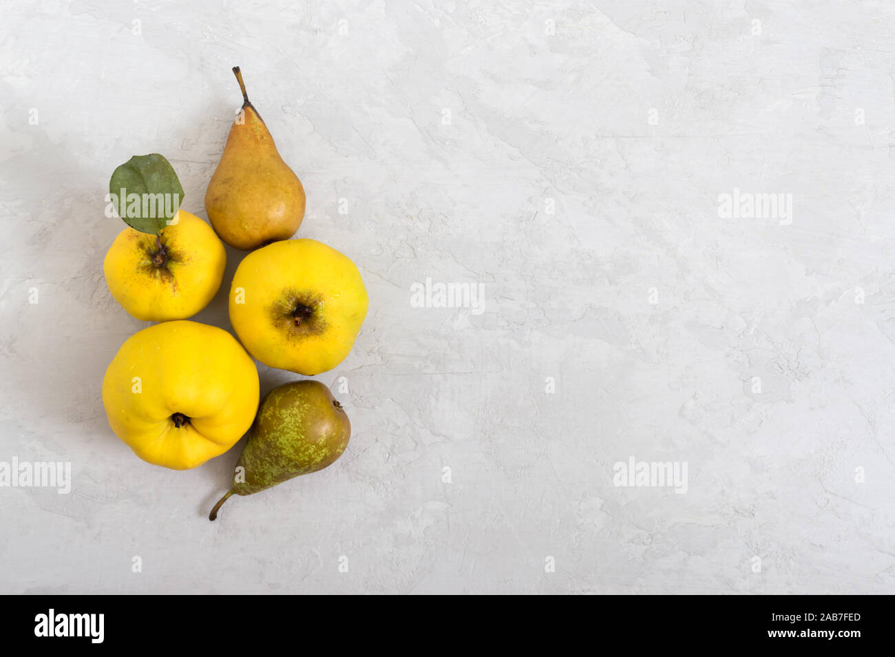 Membrillo y frutos maduros de pera en una luz de fondo concreta. Fuente de vitaminas y la salud. Concepto de alimentación saludable. Copie el espacio. Foto de stock