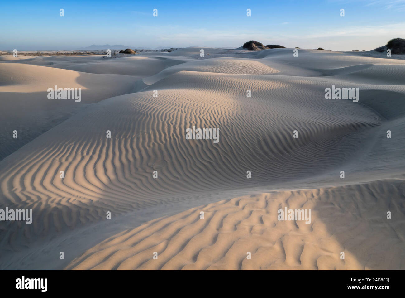 Los patrones de las dunas en la playa Sand Dollar, Isla Magdalena, Baja California Sur, México, América del Norte Foto de stock