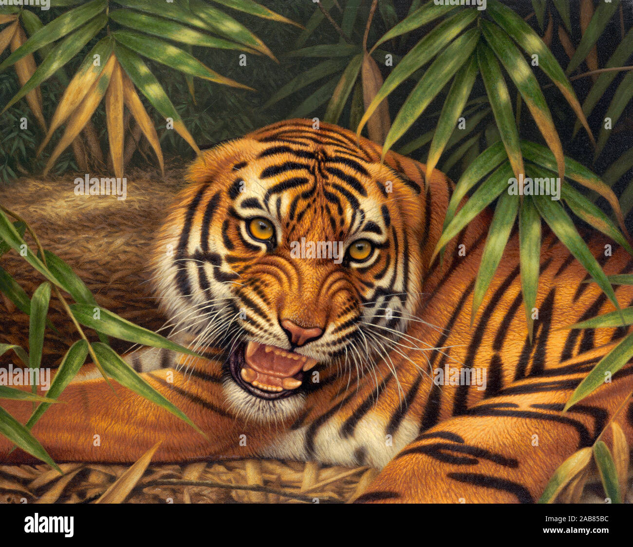 Gruñendo tigre de Bengala acostado en el piso del bosque Foto de stock