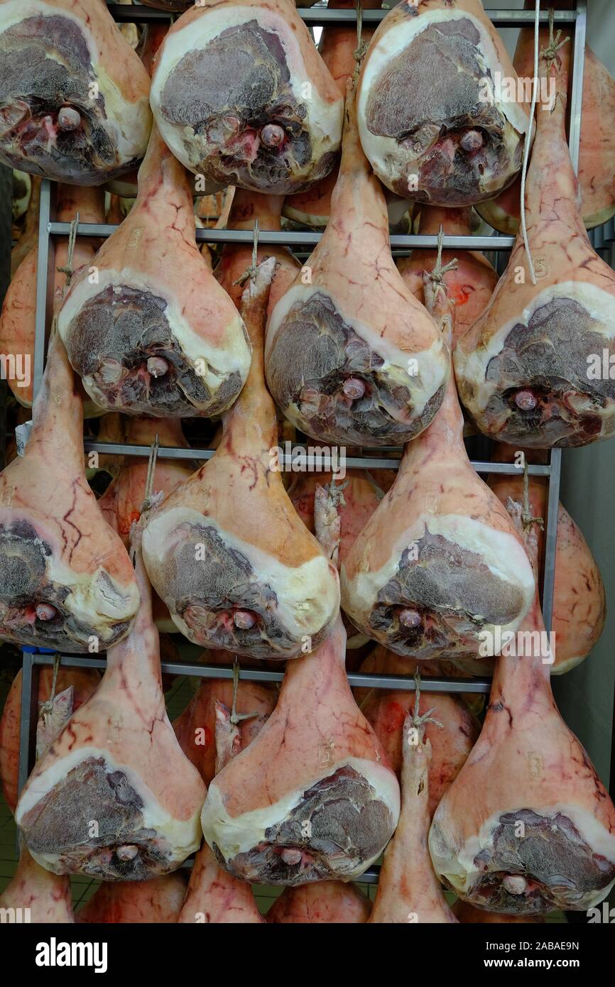 Elaboración del jamón San Daniele y madurando, San Daniele del Friuli, Udine, Friuli Venezia Giulia, Italia, Europa. Foto de stock