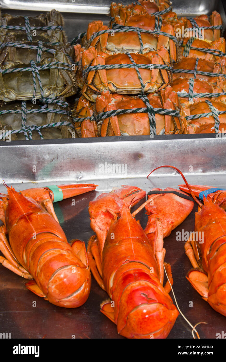 Mit und Krabben Marktstand Hummer en Shanghai, China, Asien Foto de stock