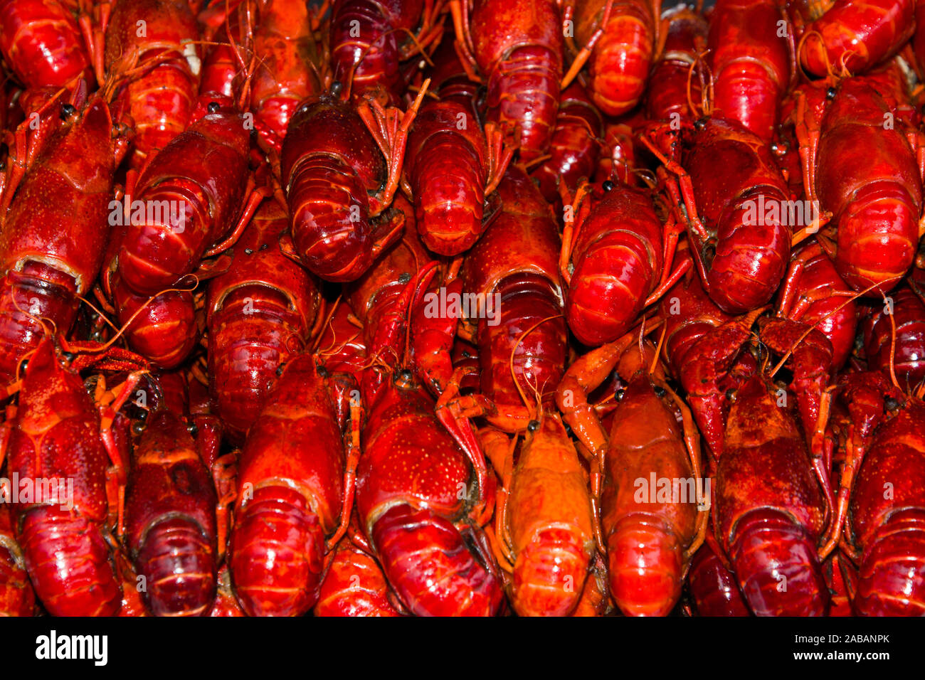 Mit Krabben Marktstand en Shanghai und Scampis Foto de stock