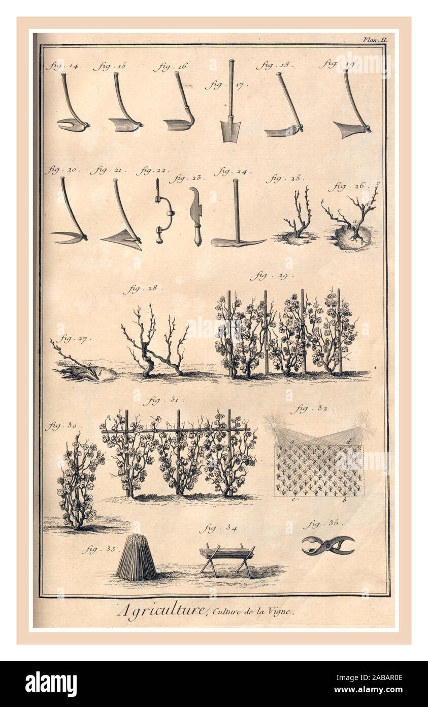 1770's vintage viticultura ilustración página de herramientas para el cultivo de la vid. Denis Diderot, escritor. Ilustración de la producción de viñedo de la viticultura implementa para trabajar los viñedos de uvas del escritor francés Denis Diderot. Foto de stock