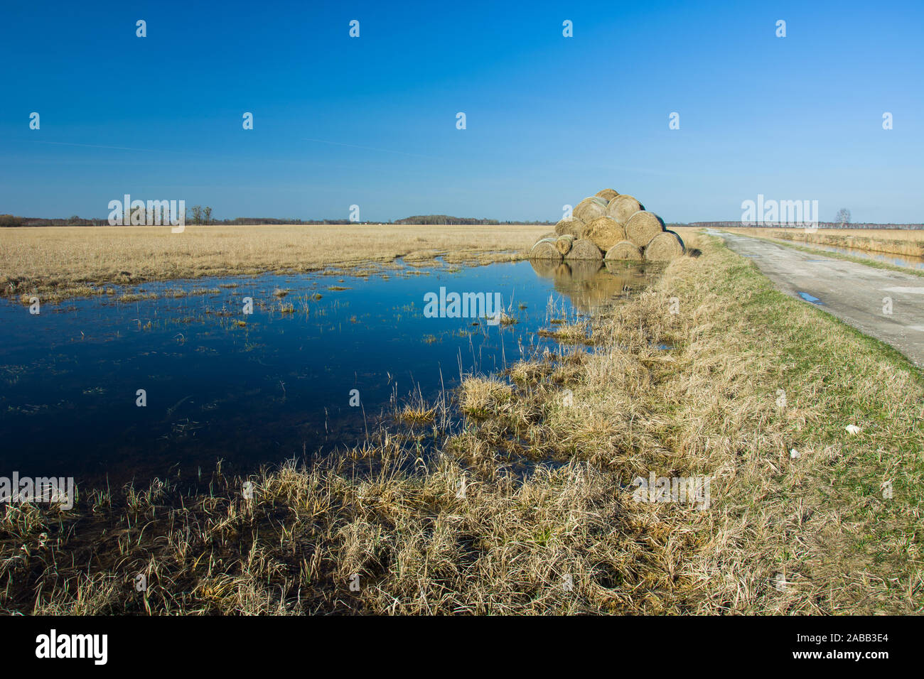 Círculos de heno en el agua después de la lluvia en el campo, horizonte y cielo azul Foto de stock