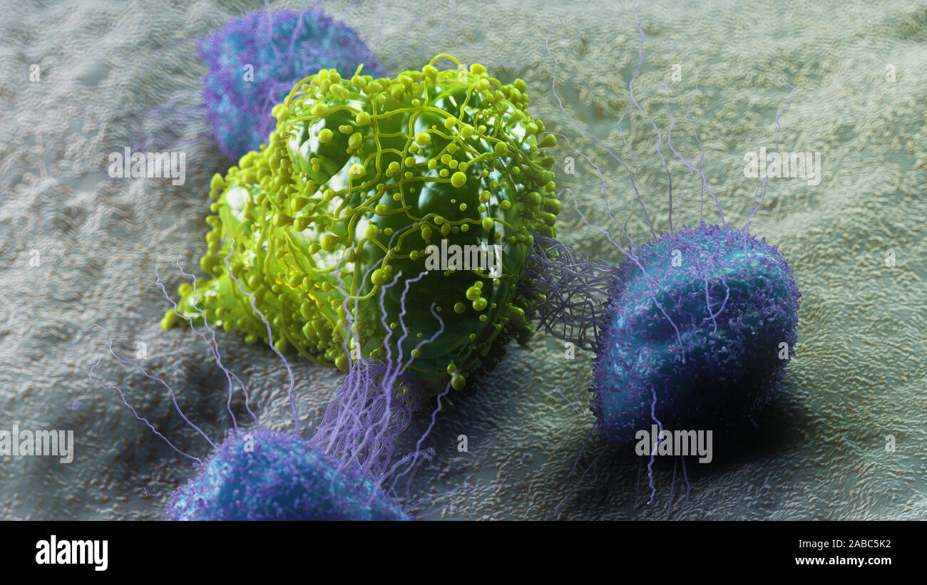 3D prestados ilustración médica precisa de una célula cancerosa está siendo atacado por los leucocitos Foto de stock