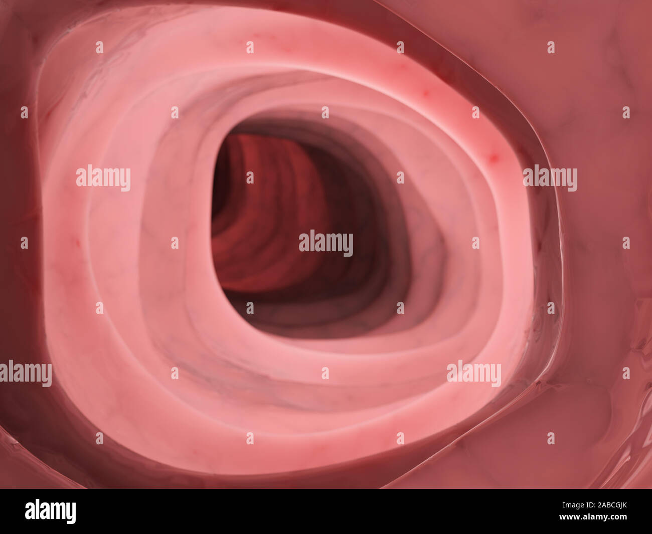 3D prestados ilustración médica precisa del interior del colon humano Foto de stock