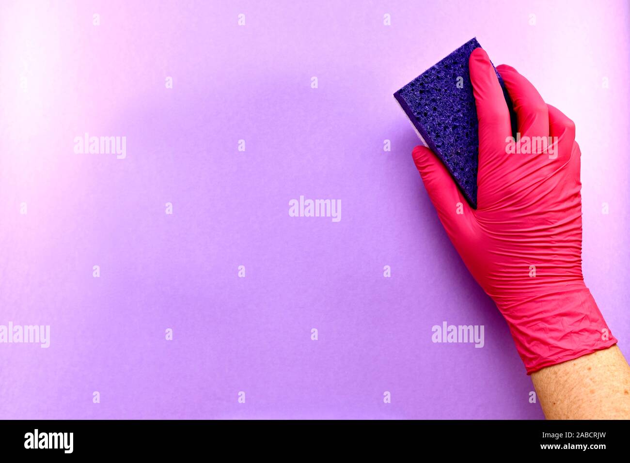 La mano derecha con un guante de goma con un lavado de esponja de celulosa, una superficie porosa, sobre un fondo violeta. Foto de stock