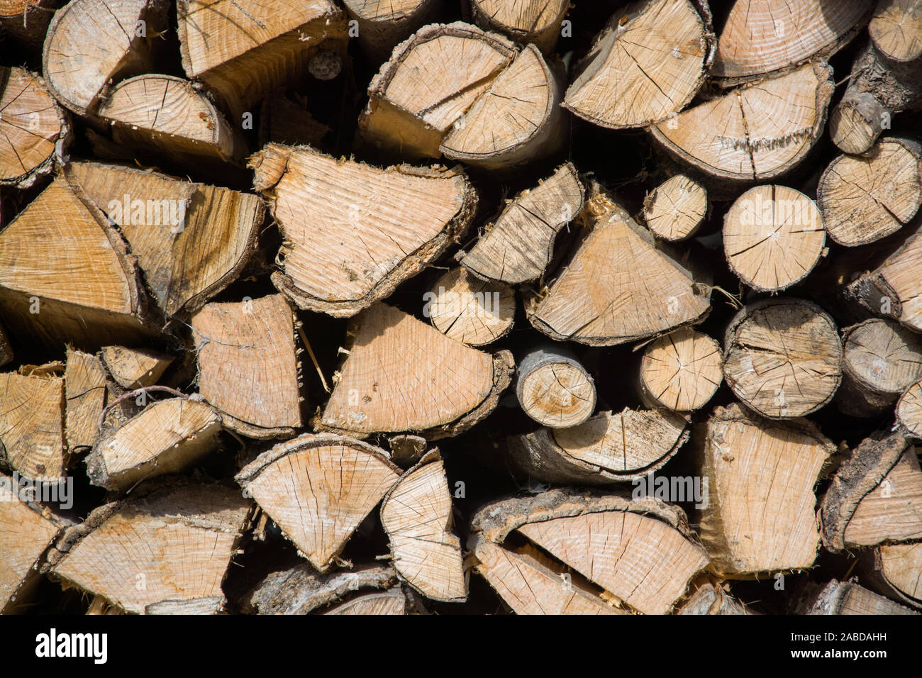 Brennholz aufgestapelt zum Trocknen für gemütliche Winterabende. Foto de stock