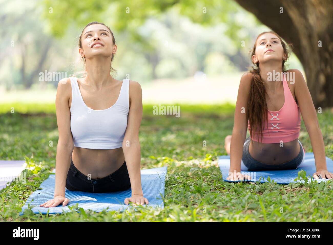 Hermosa niña modelo adolescente hacer yoga grupo de sano en el parque al aire libre. El perro boca arriba(Bhujangasana postura). Foto de stock
