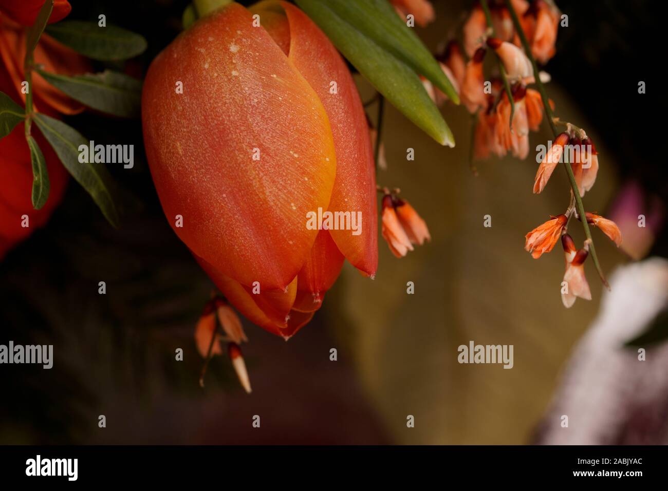 Arreglo flores del cementerio fotografías e imágenes de alta resolución - Página 3 - Alamy