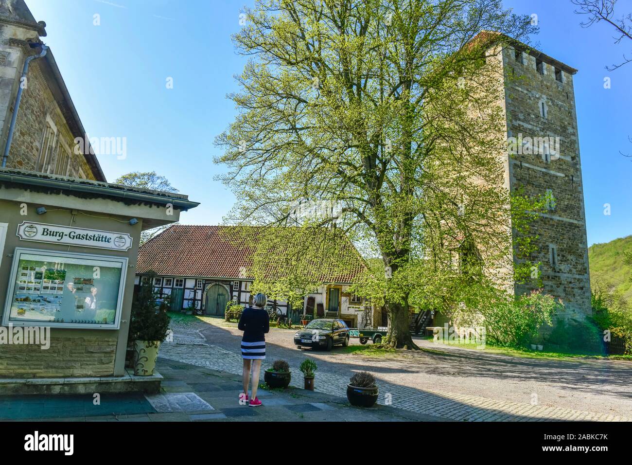 Bergfried, Burg, Weserbergland Rinteln Schaumburg, Niedersachsen, Deutschland Foto de stock