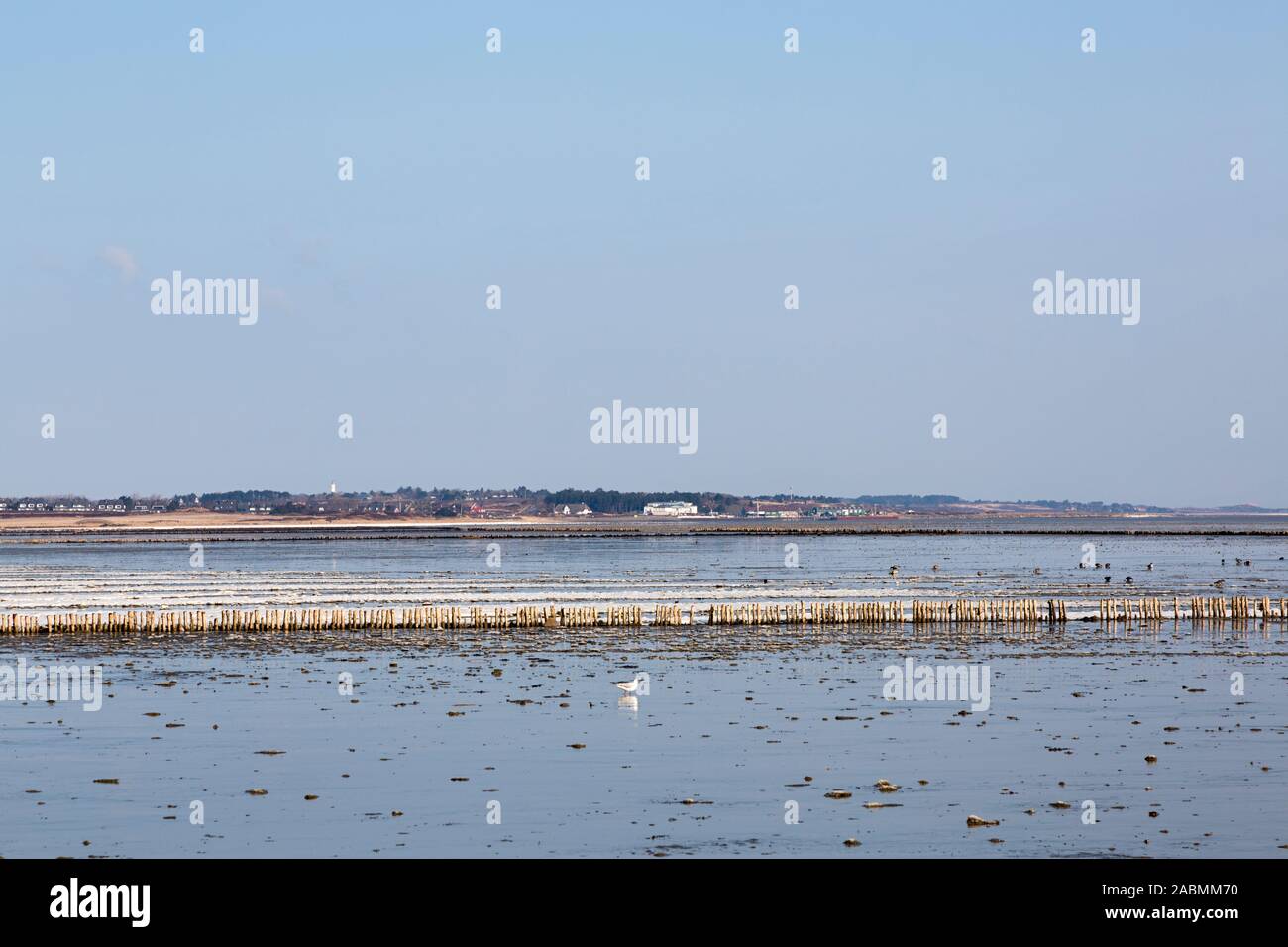 Wattenmeer zwischen Keitum und Munkmarsch auf Sylt Foto de stock