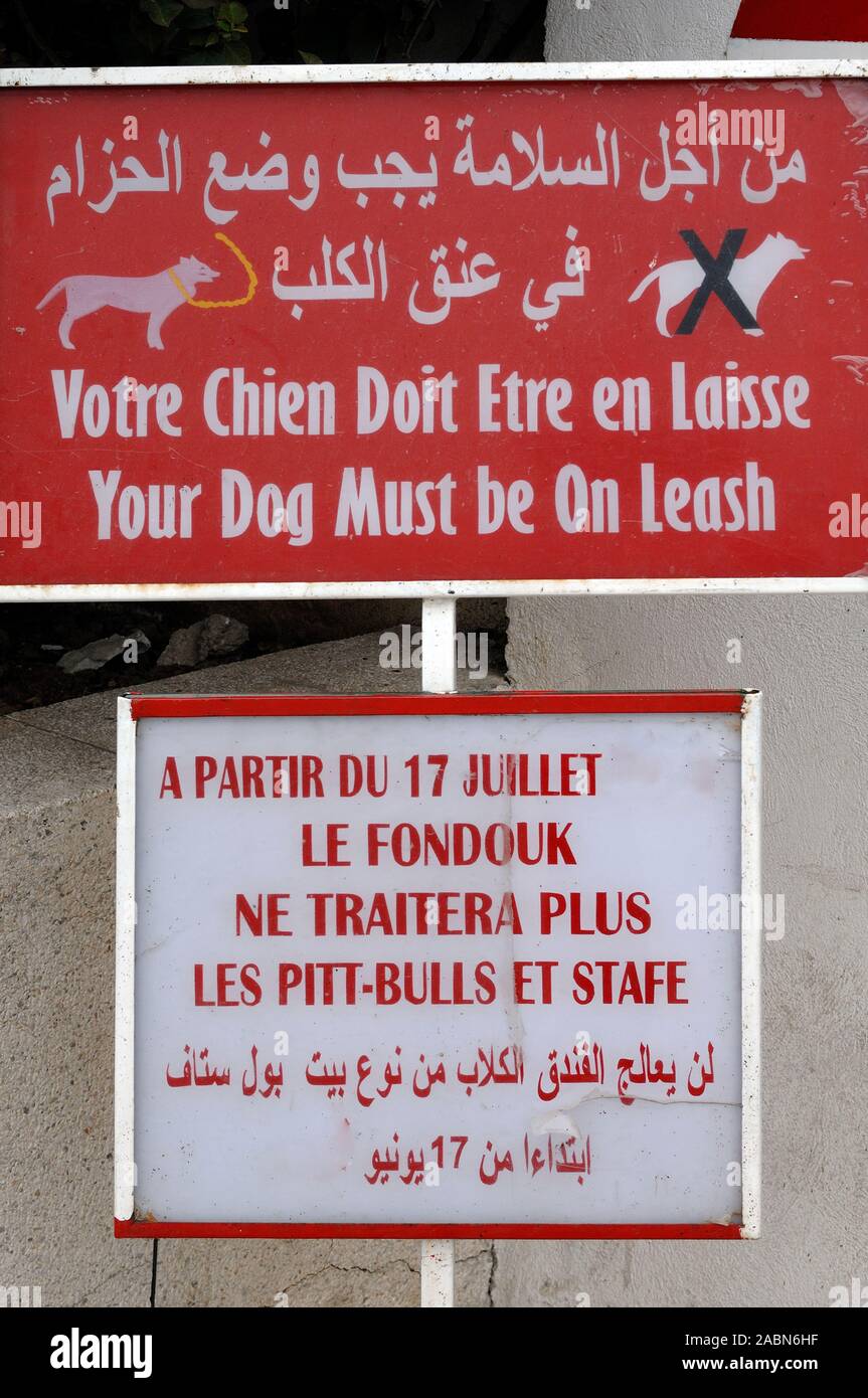 American Fondouk o Clínica Veterinaria Letrero con instrucciones para los propietarios de perros Fez Marruecos. Los perros de plomo. No Pit Bull o Staffordshire Bull Terrier Foto de stock