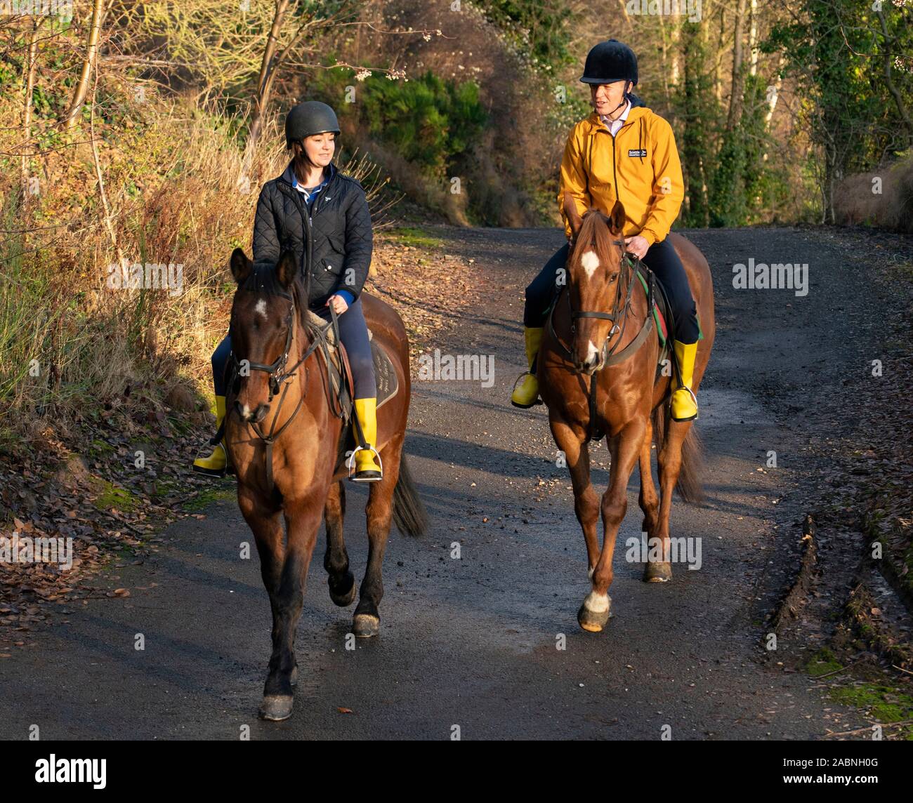 Lasswade, Escocia, Reino Unido. El 28 de noviembre de 2019. Los liberales demócratas resaltar "dos carrera de caballos en muchos escaños" en Lasswade escuela de equitación. El líder liberal demócrata escocés Willie Rennie y candidato de Berwickshire, Roxburgh & Selkirk, Jenny Marr, visitó el centro de equitación Lasswade para resaltar los liberlademócratas' lugar como principal competidor en muchos escaños en toda Escocia. Iain Masterton/Alamy Live News. Foto de stock