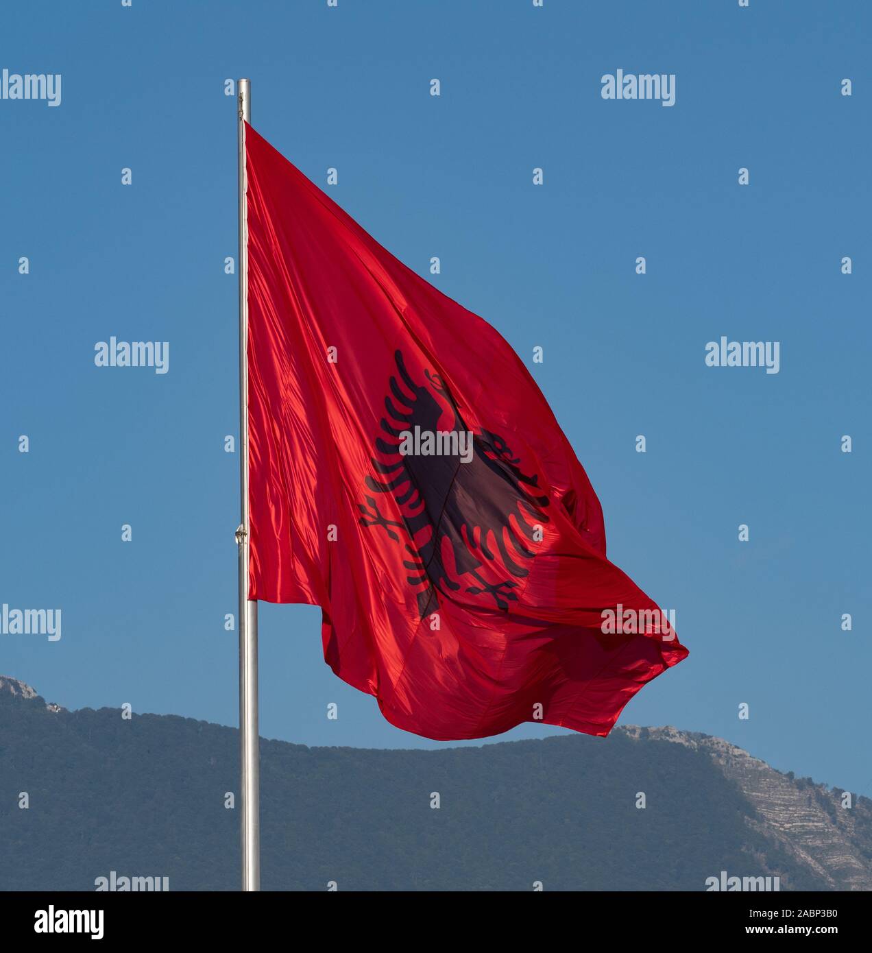 Cerca de la bandera albanesa con un águila bicéfala en negro sobre un fondo  rojo. Una montaña con árboles es en el fondo Fotografía de stock - Alamy