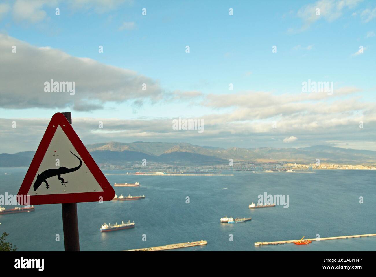 Señal de advertencia de lagartos, Willis's Road, cerca de la Princesa Carolina de batería, el Peñón de Gibraltar, mirando a la bahía de Gibraltar a Algeciras en España Foto de stock