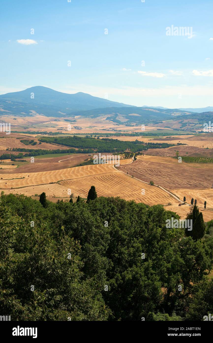 La campaña de verano de paisaje de la Val d'Orcia cerca de Pienza Toscana Italia Europa Foto de stock