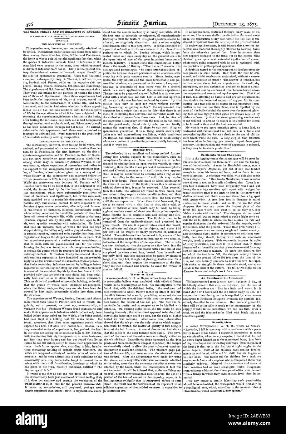 376 El germen de la teoría y sus relaciones con la higiene. Hierro cincado agua como combustible. California picadores de madera una inagotable Inkstand Sexadigitisin., Scientific American, 1873-12-13 Foto de stock