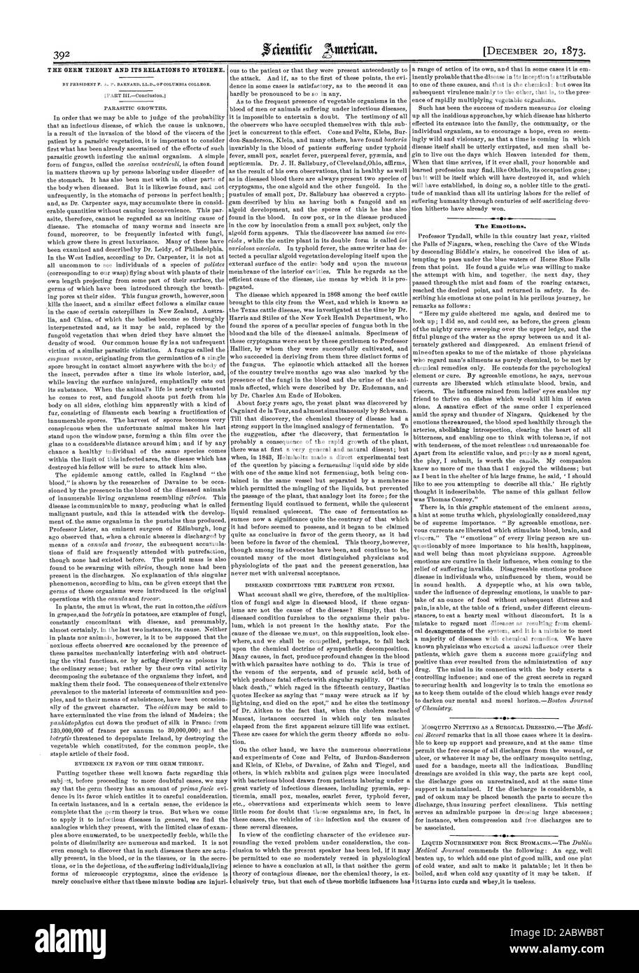 El germen de la teoría y sus relaciones con la higiene. Las emociones, Scientific American, 1873-12-20 Foto de stock