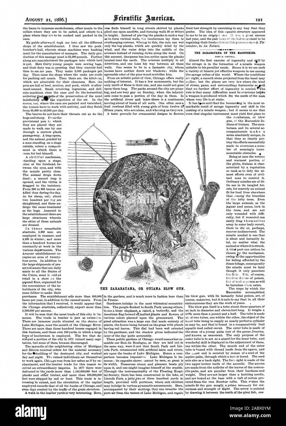 La ZABABATANA DEL MA008E1E8. La ZARABATANA o pistola de Guayana., Scientific American, 1886-08-21 Foto de stock