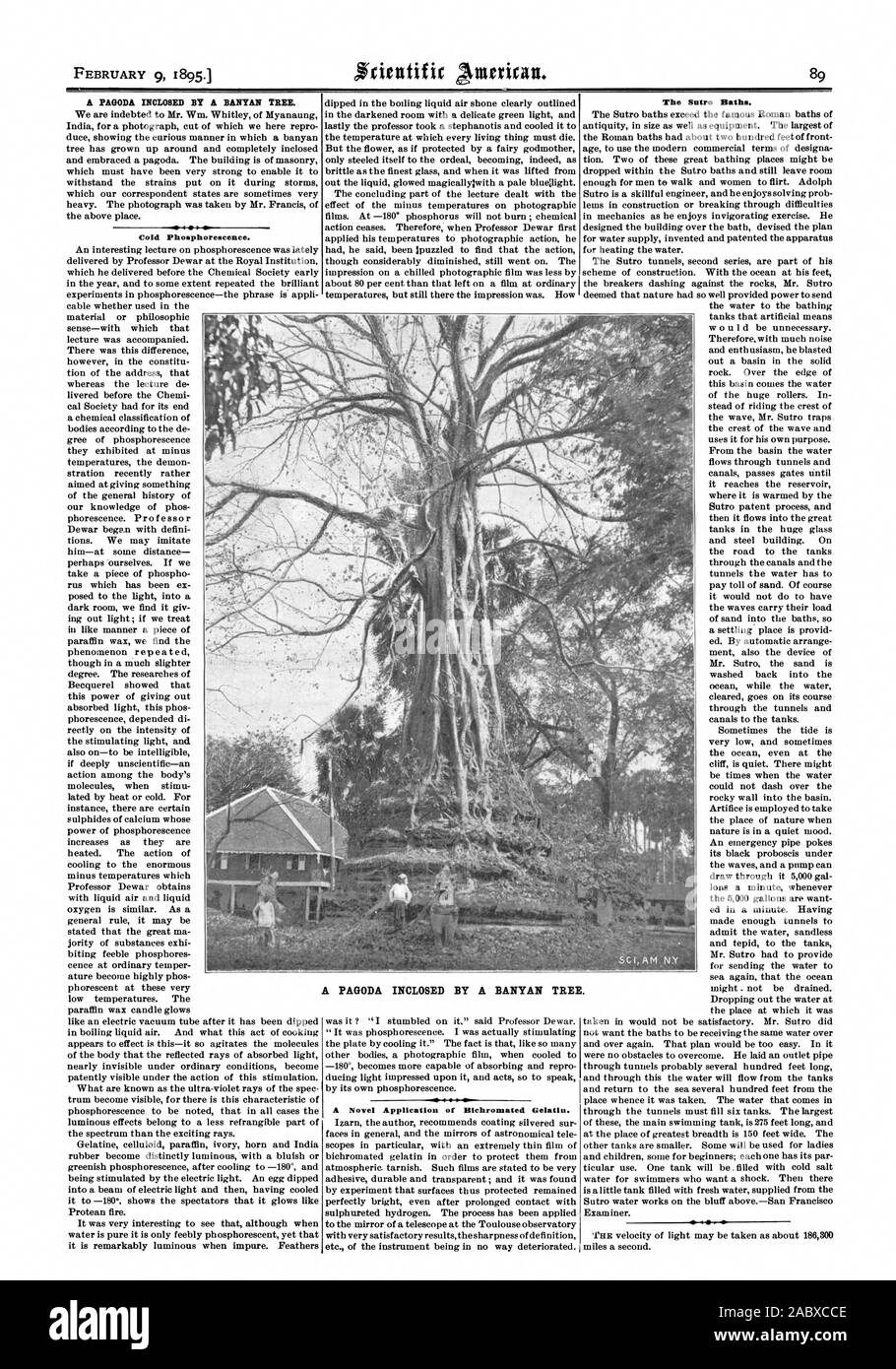 El 9 de febrero de 1895. Una pagoda recubierto de grasa POR UN BANYAN TREE. Frío fosforescencia. Una novedosa aplicación de Bichromated gelatina. Los baños Start'. Una pagoda recubierto de grasa por un árbol de banyan, Scientific American, 1895-02-09 Foto de stock