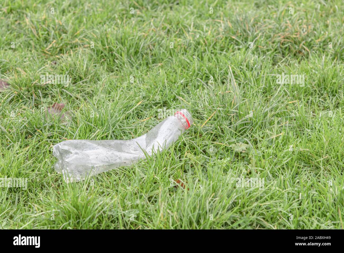 Botella de refrescos de plástico vacía / basura en parche de hierba. La
