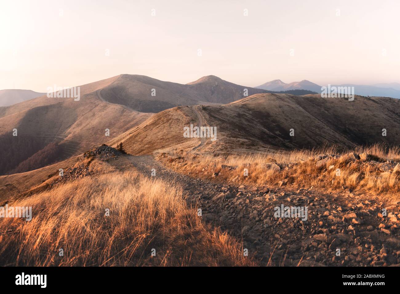 La hierba amarilla temblando en el viento de otoño de las montañas al amanecer. Cárpatos, Ucrania. Fotografía paisajística Foto de stock