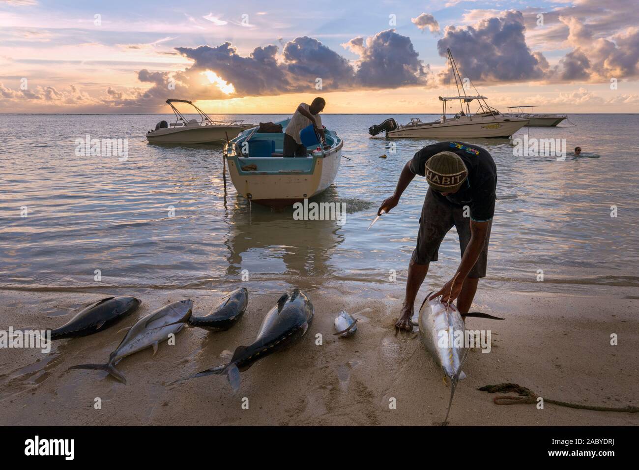 Los pescadores trabajan en sus capturas al atardecer en Riviere Noir o río negro playa, mico, Mauricio Islas Mascareñas. Foto de stock