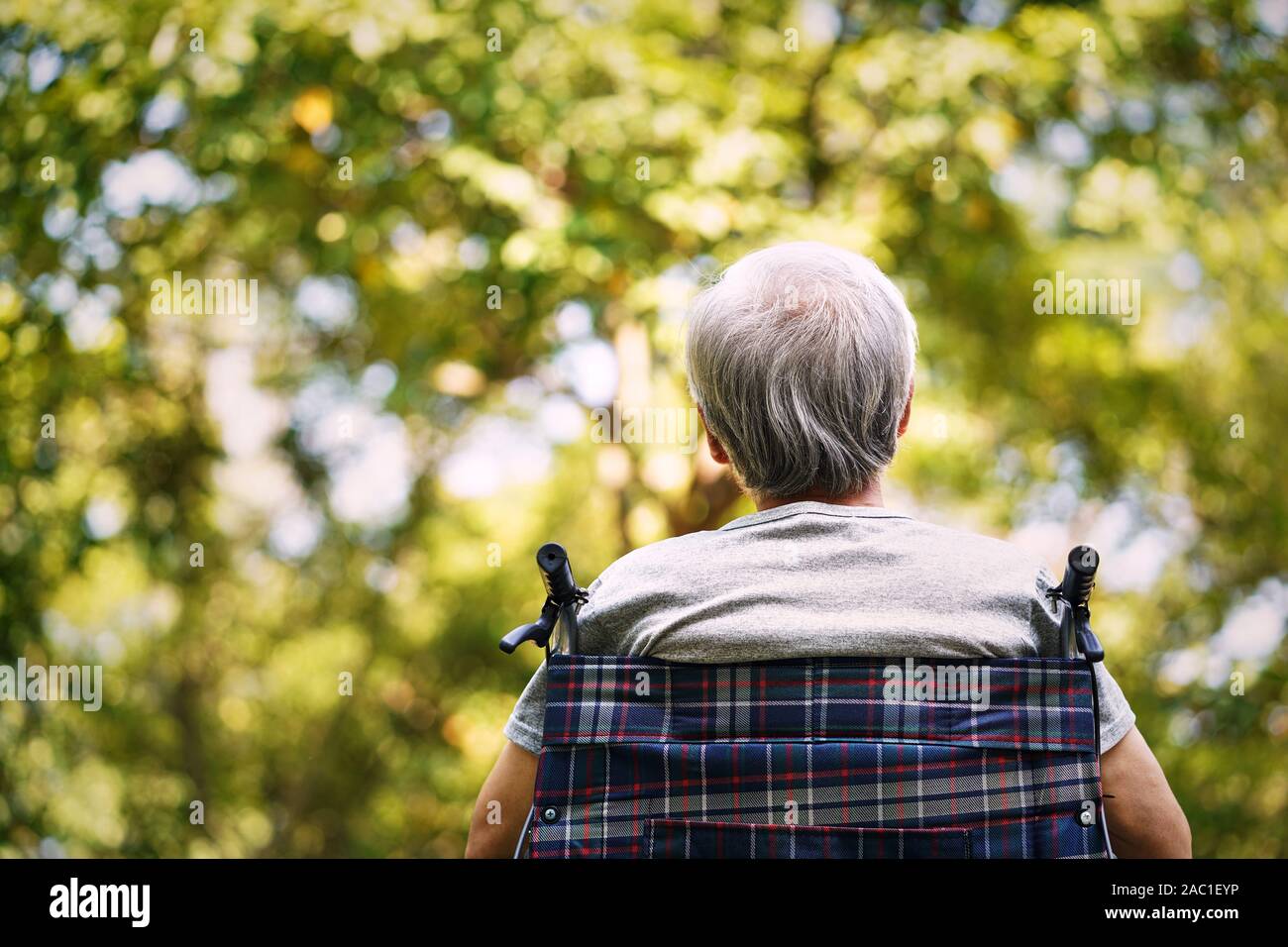Vista trasera de un anciano hombre sentado en una silla de ruedas mirando hacia arriba Foto de stock