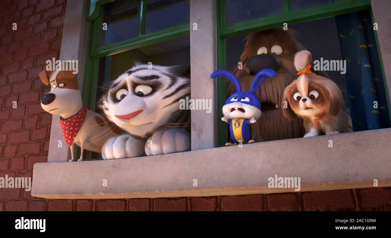 La vida secreta de las mascotas 2 (2019), dirigida por Chris Renaud y Jonathan DEL VAL. Crédito: Iluminación Entretenimiento/Universal Pictures / Álbum Fotografía de stock - Alamy La vida secreta de las mascotas 2 (2019), dirigida por Chris Renaud y Jonathan DEL VAL. Crédito: Iluminación Entretenimiento/Universal Pictures / Álbum Fotografía de stock - Alamy