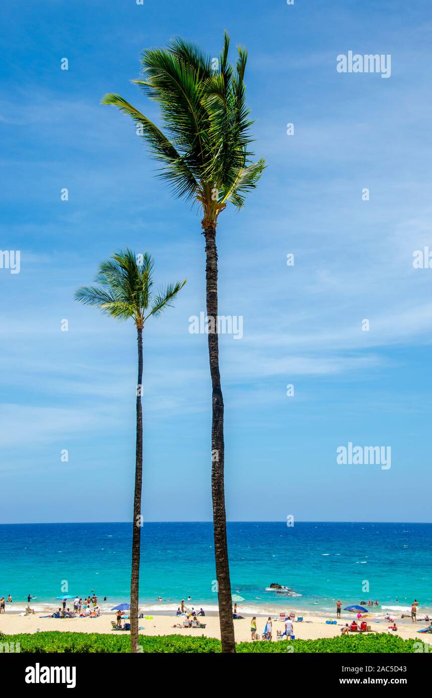Gente disfrutando de un día soleado en el Hapuna Beach, a lo largo de la costa Kohala de la Isla Grande. Esta playa de arena blanca, ha sido calificada como una de las mejores playas de la Foto de stock