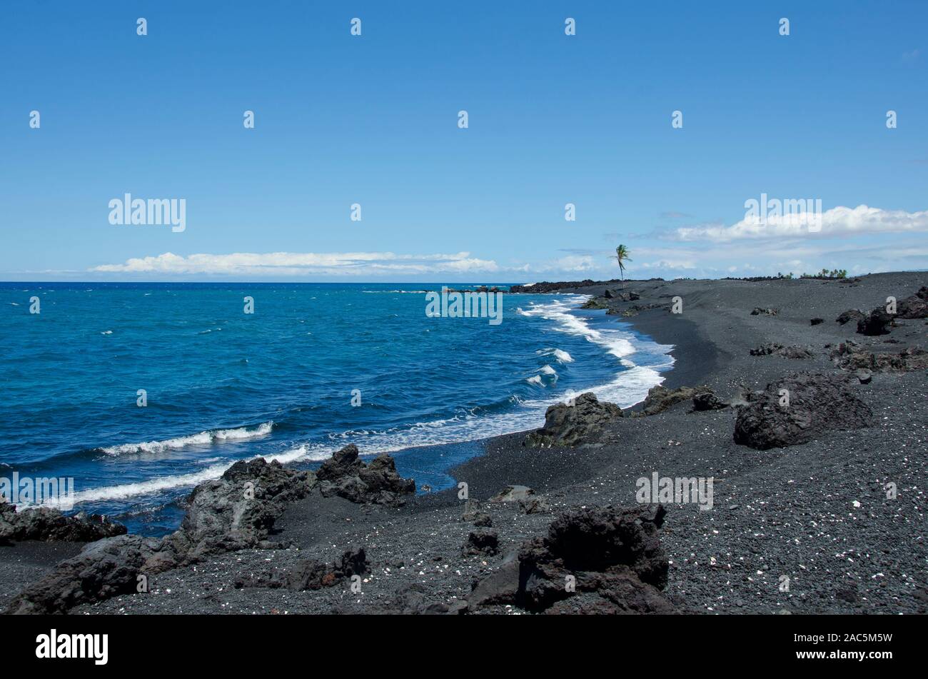 Una Palmera solitaria parece guardia Keawaiki principalmente bahía y su playa de arena negra de la isla de Hawai'i; una erupción de Mauna Loa 1859 desbordado en th Foto de stock
