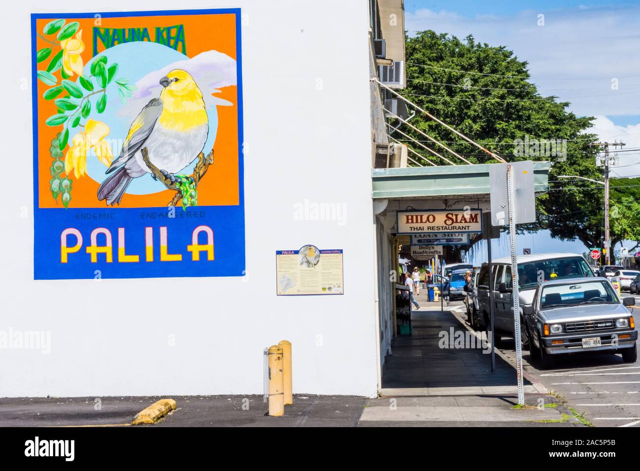 Hermosas obras de arte de los nativos palila aves amenazadas en el lateral de un edificio en el centro de la ciudad de Hilo, la Isla Grande de Hawai'i. Foto de stock