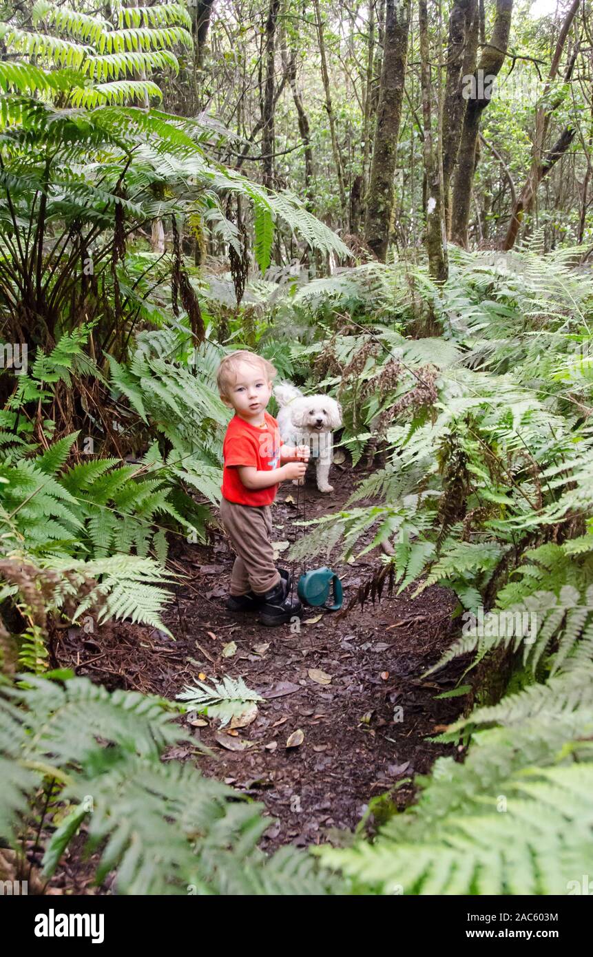 Una parte joven asiática con su perro chico local pausa a lo largo del bosque nativo en Kalopa Loop Trail State Park, Costa Hamakua, Isla Grande. Foto de stock