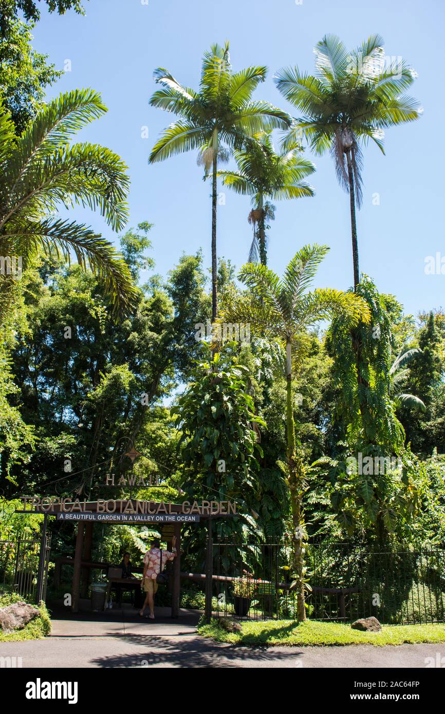 La entrada al jardín botánico tropical de Hawaii en Papa'ikou cerca de hilo, la Isla Grande de Hawai'i. Foto de stock