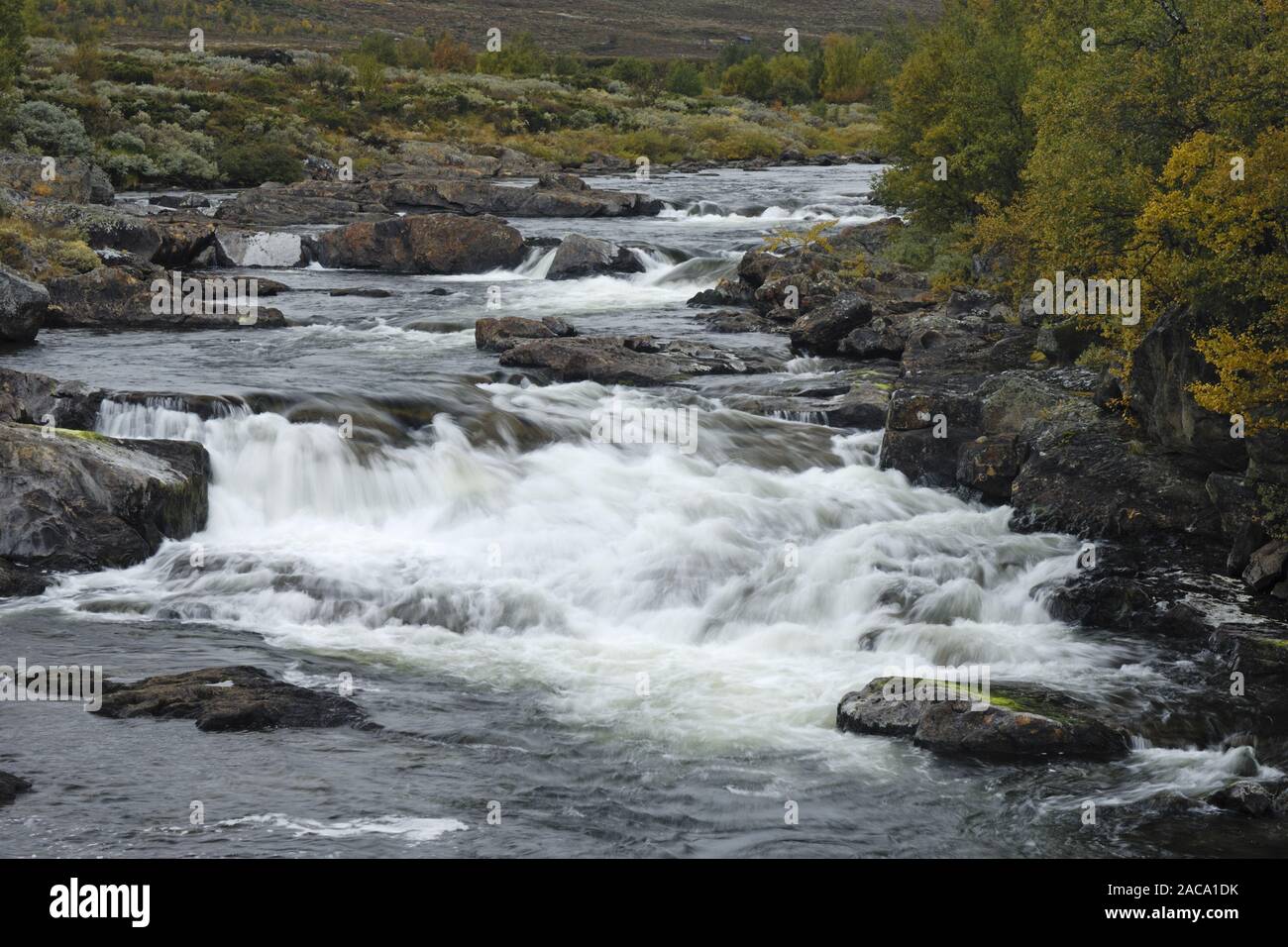 Cordillera, gebirge, río, fluss, einunna, hedmark, Noruega, norwegen, nordeuropa, Europa Norte, Foto de stock