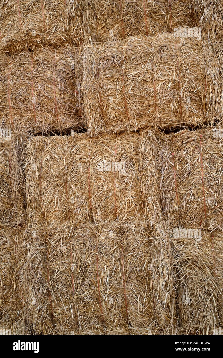 Cosechado los fardos de heno apiladas en una finca cultivable - agricultura antecedentes Foto de stock