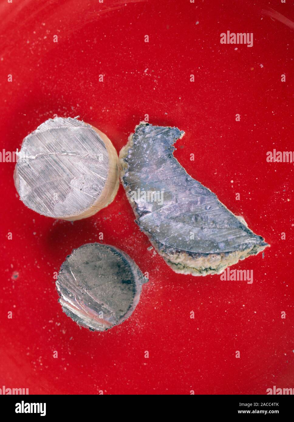 Metales alcalinos. Recién cortado el litio (Li), sodio (Na) y potasio (K), en el sentido de las Metales alcalinos. Recién cortado el litio (Li), sodio (Na) y potasio (K), en el sentido de las