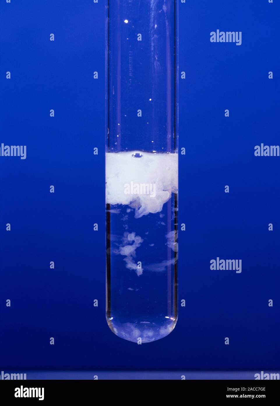 El hidróxido de magnesio precipitado formado mediante la adición de Hidróxido de sodio (NaOH) en